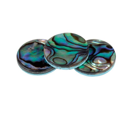 3pcs abalone shell - 3pcs,