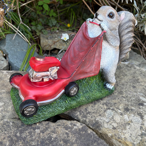 Squirrel with lawnmower garden - squirrel,