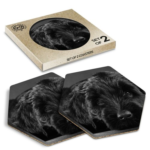 Hexagon coasters bw - bw,