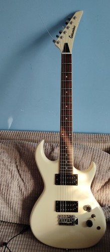 Electric guitar and bag - electric,