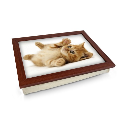 Playful kitten cushion - playful, padded