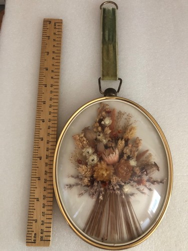 Vintage dried framed - vintage,