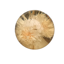 Hafod Grange Thistle