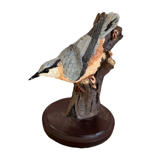 Nuthatch the country bird - nuthatch,