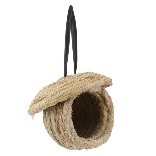 Budgie nesting box bird - budgie,
