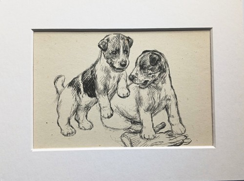 Terrier puppies dog vintage