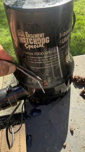 Watchdog basement - (used)watchdog,