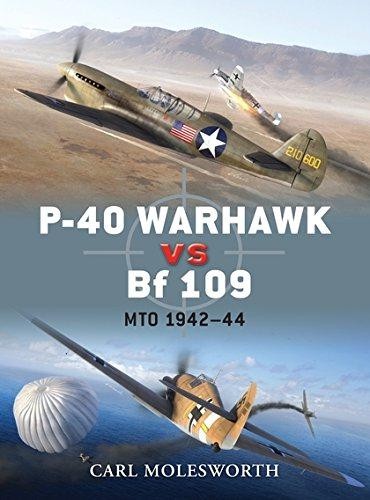 Warhawk 109 mto - p-40, bf