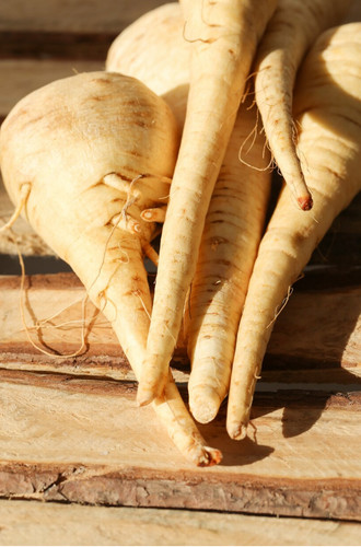 Parsnip guernsey seeds - seeds,