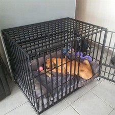 BingoPaw 38"/42"/46" Heavy Duty Metal Dog Pet Crate Cage Kennel w/ Castor & Tray