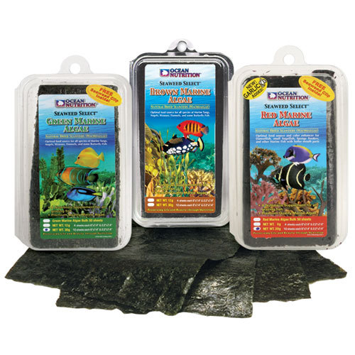 Ocean nutrition seaweed 12g - ocean, 8g