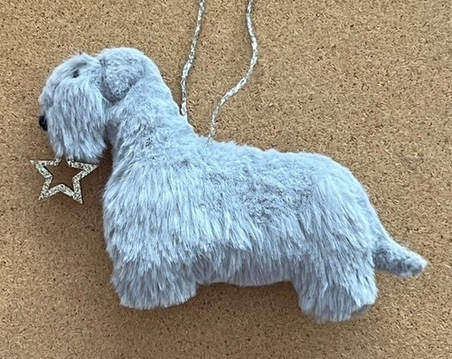 Cesky terrier with christmas - cesky,