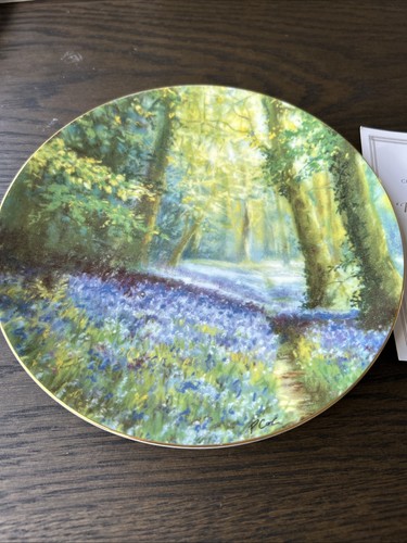 Wedgewood bluebell wood - wedgewood,