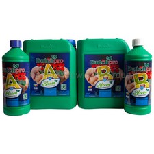 Dutch Pro Original Bloom A&B