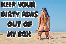 Beta or Snap On Tool Box