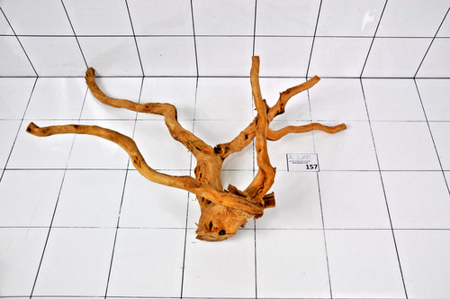 Premium aquarium natural wood - aquarium,