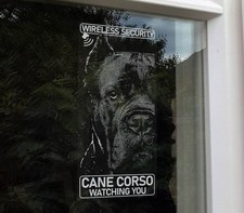 Cane Corso Wireless Security