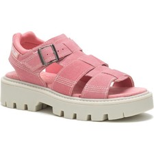 Caterpillar (CATS) Rigor