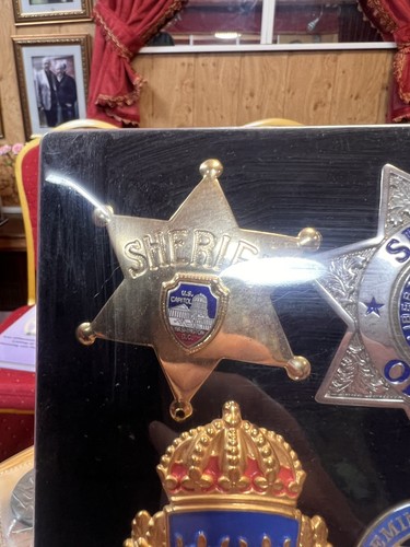 Usa police badge - badge/pin,