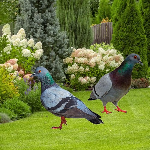 Pigeon statues garden - pigeon,