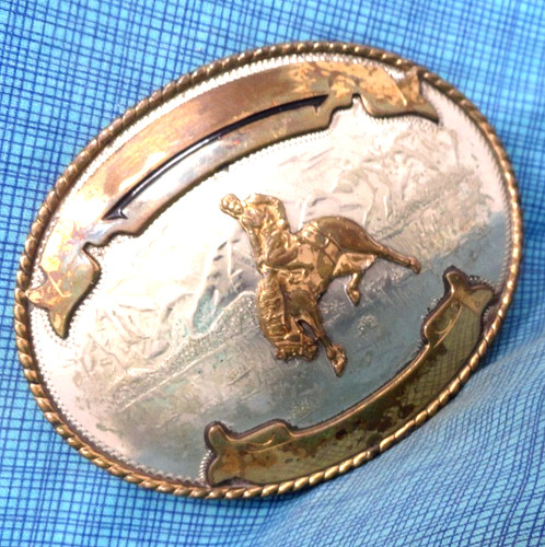 Western bucking horse trophy - bucking,