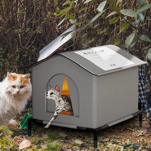 Cat house for outdoor - cat,