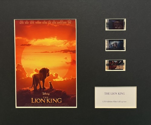 The lion king - king., .