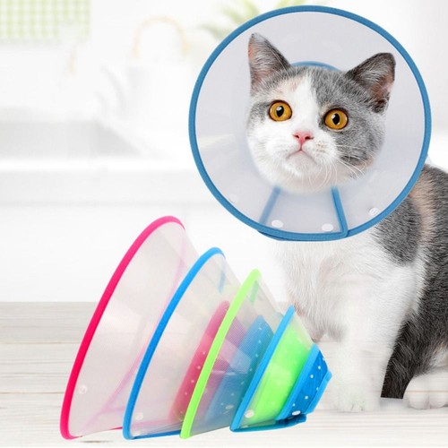 Pet protective collar - pet,