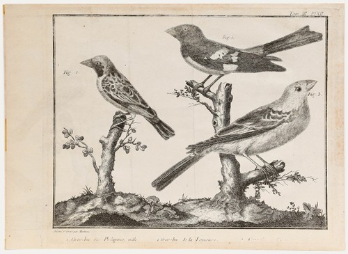 Francois nicolas martinet - francois-nicolas,