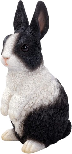Dutch rabbit lookout - rabbit, highly