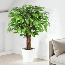Ficus Artificial Trees with Natural Curved Trunks, 90cm Tall Fake Ficus AUCTION