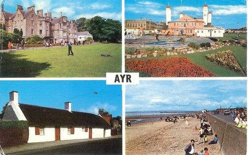Ayr multiview posted - ayr,
