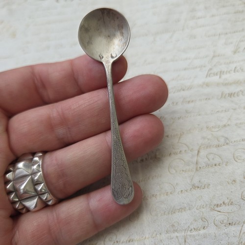 Minerva solid silver salt - minerva,