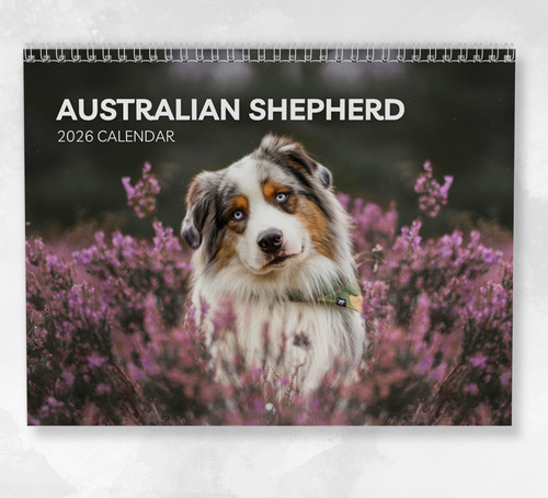 Australian shepherd calendar - australian,