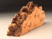 Burr Elm Resin Live Edge