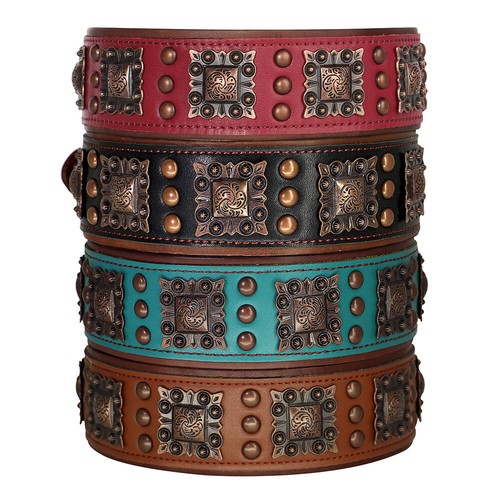 5cm wide pet - wide, studded