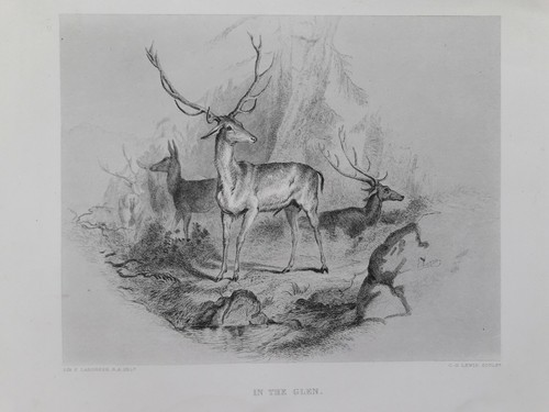 The glen sir edwin - in, by