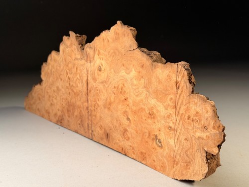 Burr elm resin live edge - burr,