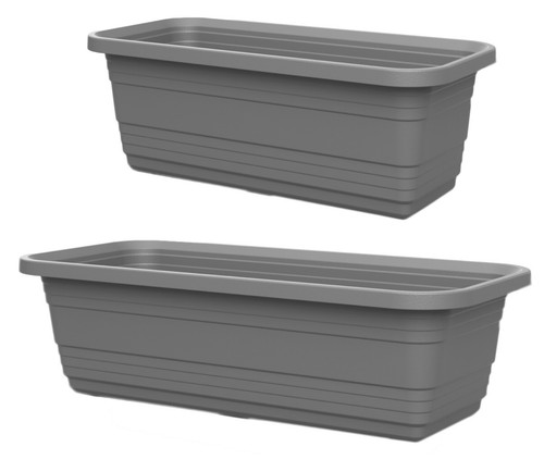 Grey trough plant - plant, pot