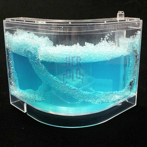 Ant farm workshop - ant,