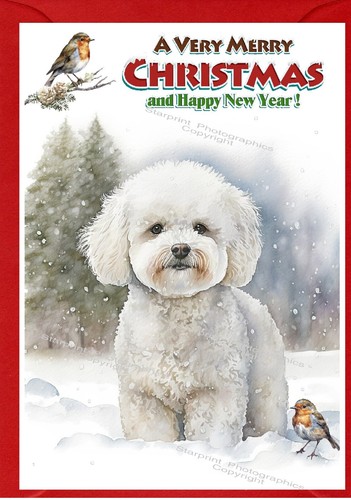 Bichon frise dog christmas - frise,