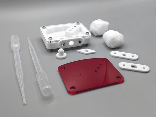Acrylic ant formicarium - acrylic,