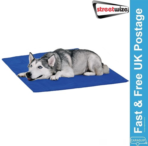Streetwize dog cat heat - streetwize,