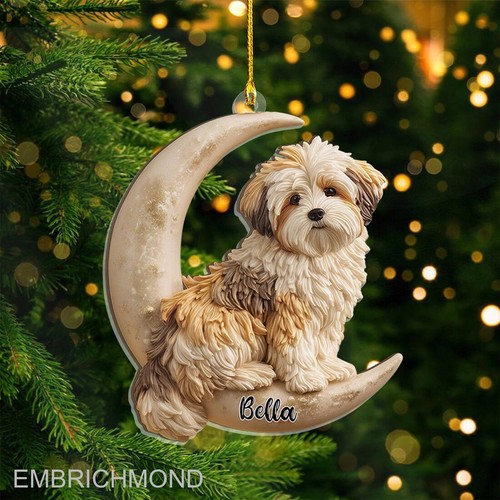 Personalized havanese dog - havanese, sit