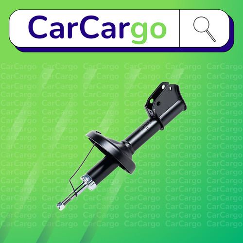 Front shock absorber fits - shock,