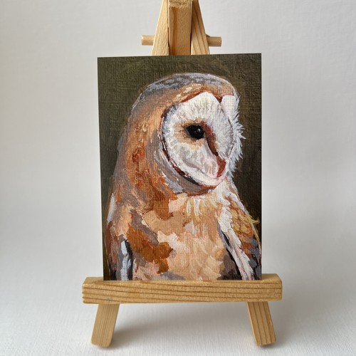Aceo print barn owl - owl, birds
