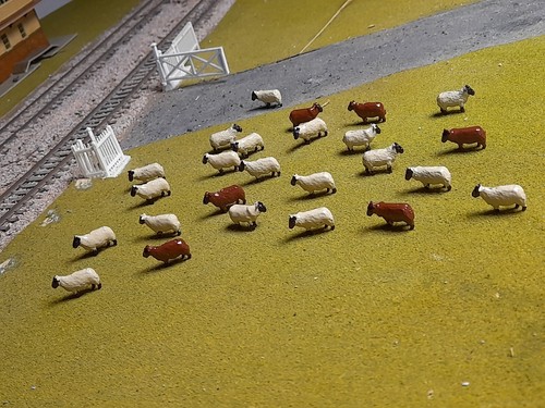 Gauge sheep large - sheep, flock