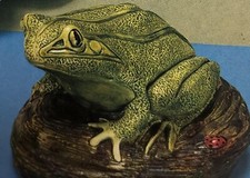 LATEX MOULDS * GM25 FROG *