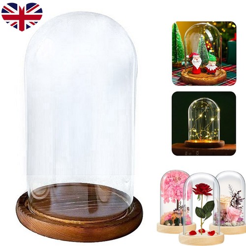 Glass display cloche - glass, bell