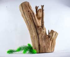 Manzanita Driftwood Stump
